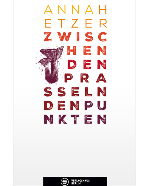 Buchcover: zwischen den prasselnden punkten – Anna Hetzer