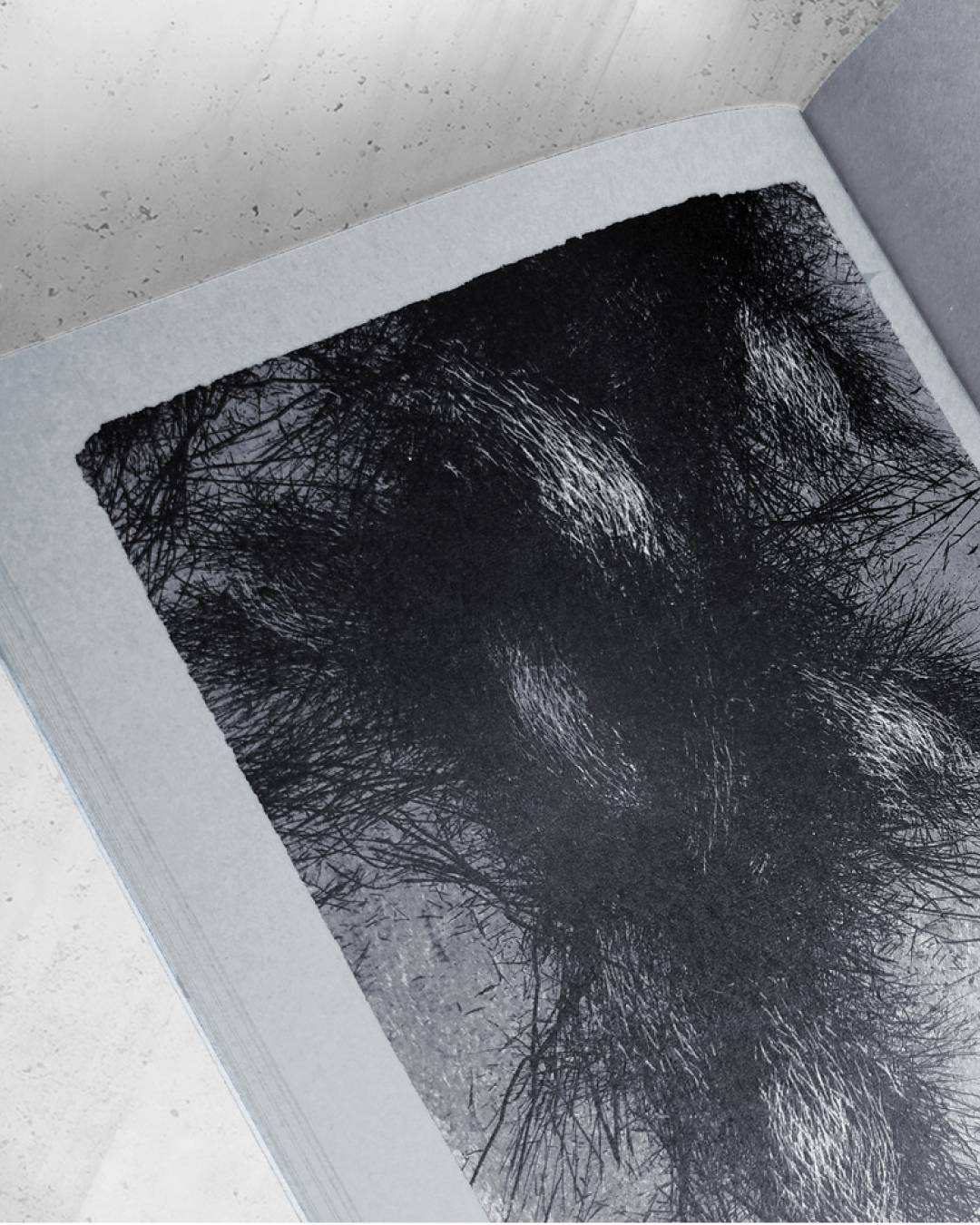 Sandra Gugić: The In-Between / Das Dazwischen