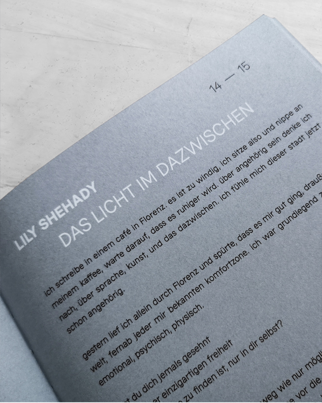 Sandra Gugić: The In-Between / Das Dazwischen